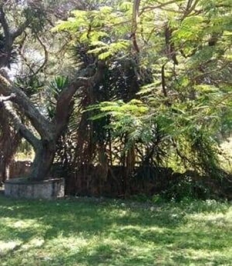 Ixtlahuacan de los Membrillos
