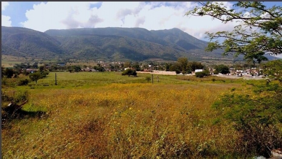 Ixtlahuacan de los Membrillos