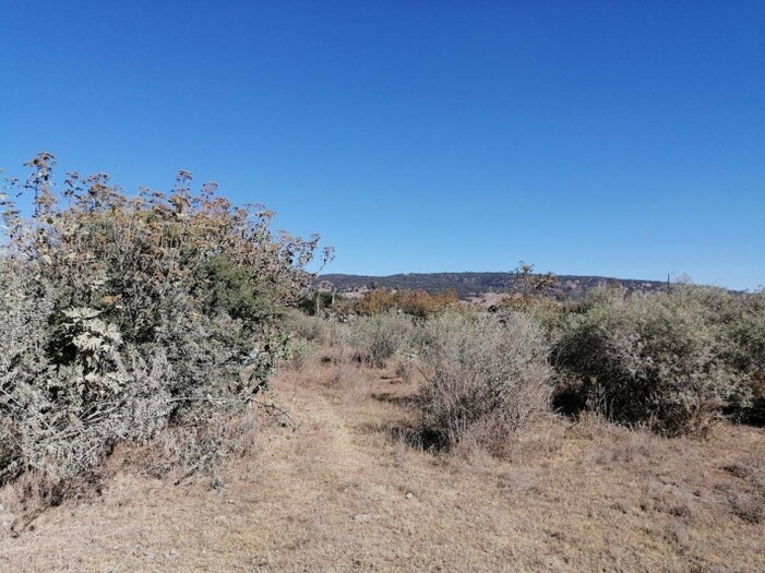 se vende terreno en San Agustin