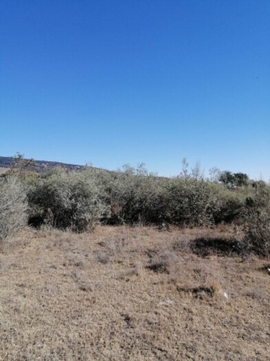 se vende terreno en San Agustin