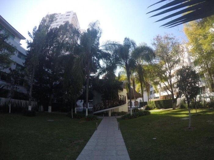 Lomas Altas
