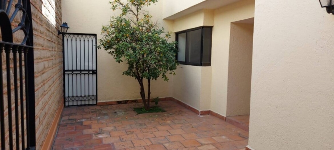 Colinas de San Javier