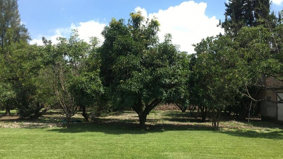 Las Carretas Ixtlahuacan de los Membrillos