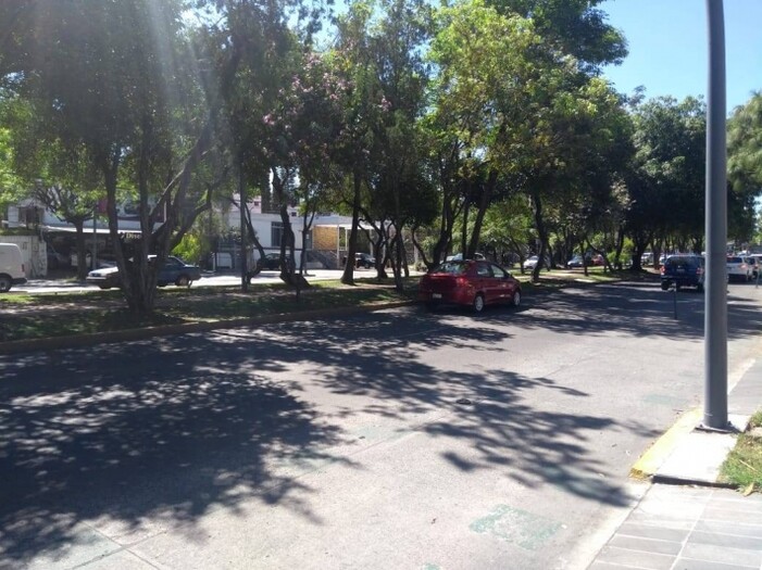 Local Av. México