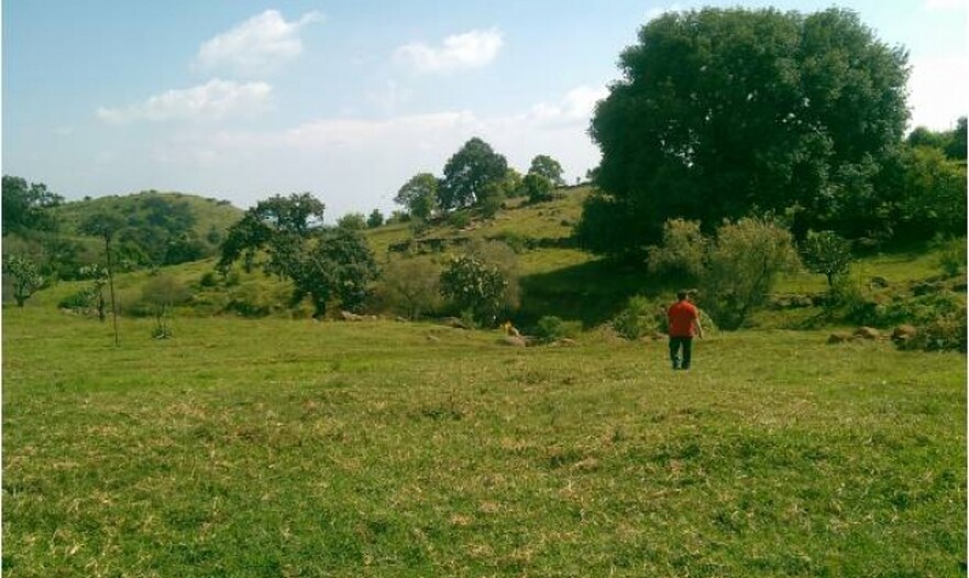 Atotonilco el Alto