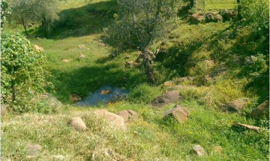 Atotonilco el Alto
