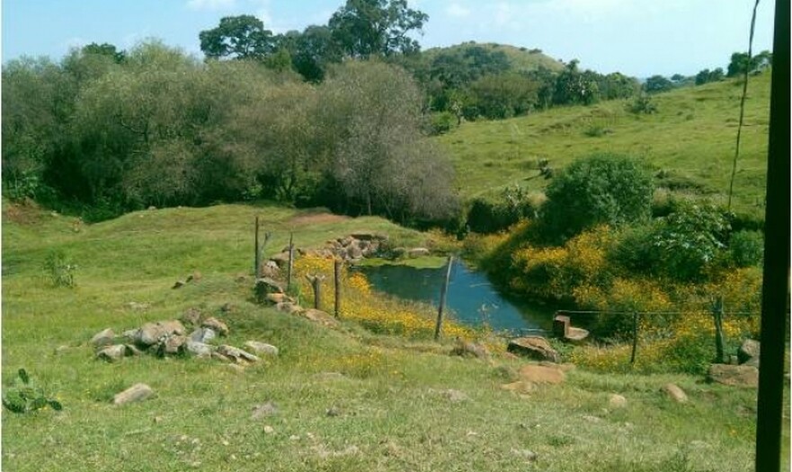 Atotonilco el Alto