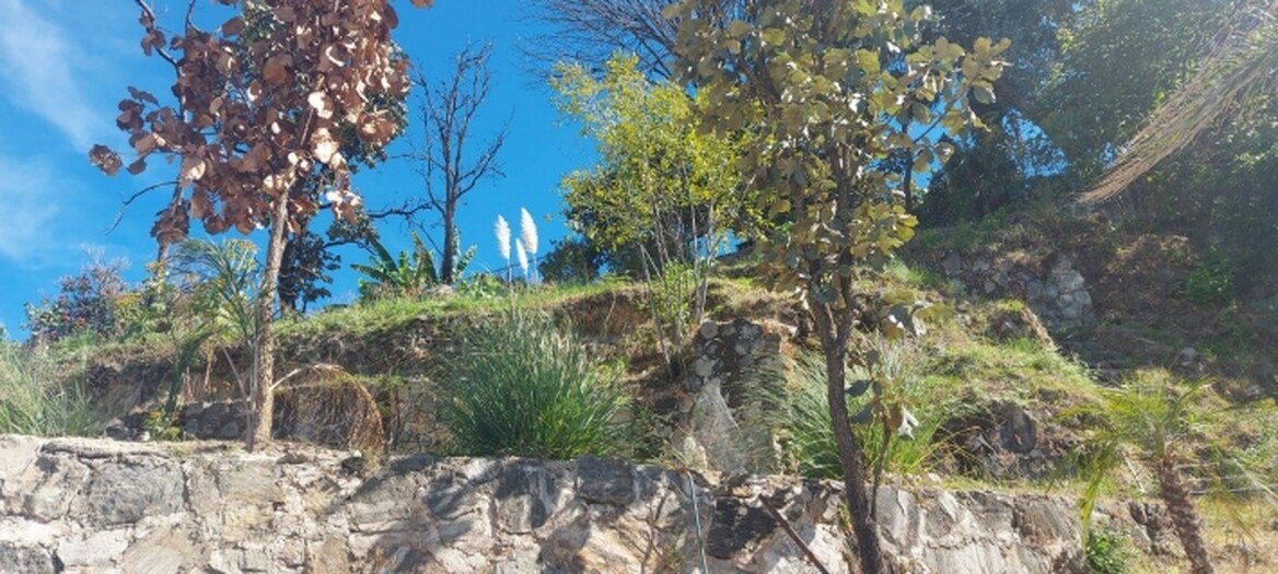 Se vende casa en pinar de la venta como proyecto