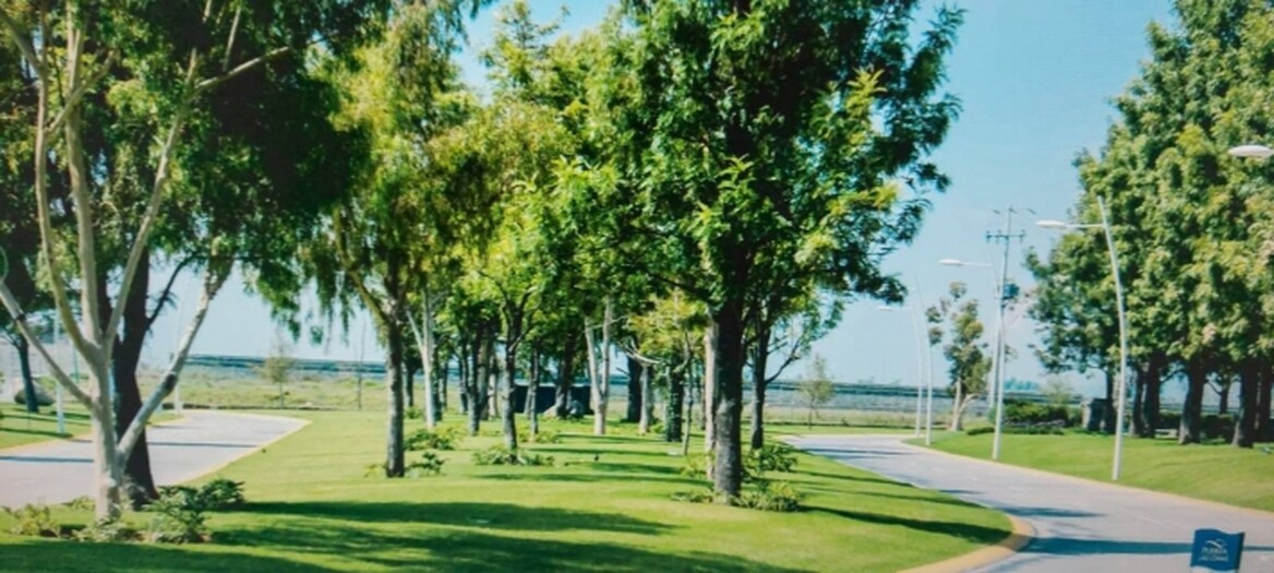 PUERTA LAS LOMAS