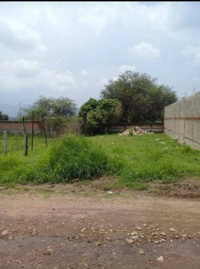 Villa Las Flores