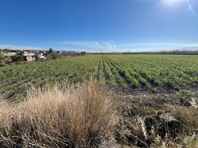 Se Vende Increible Terreno En Tala Con Acceso Por Carretera Perfecto Para Proyecto Industrial