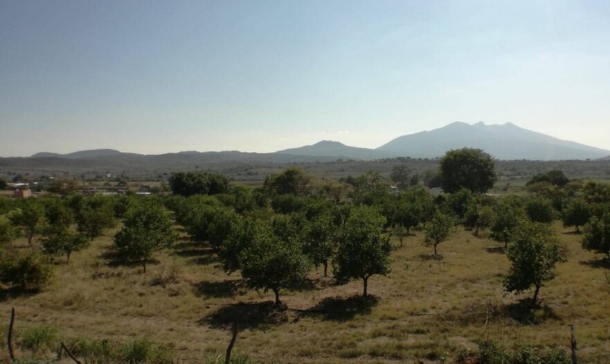 terreno en el arenal