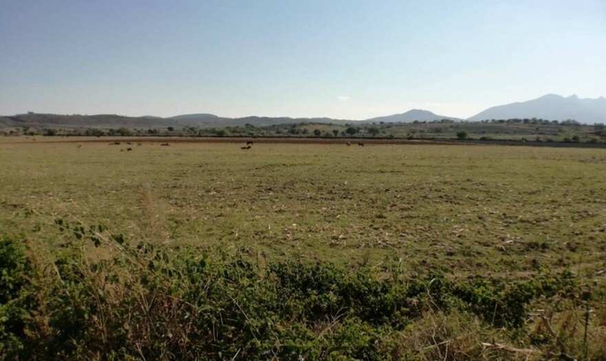 terreno en el arenal