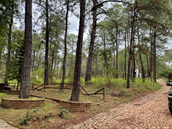 Terreno en Venta en Camino Real Mazamitla