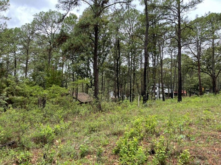 Terreno en Venta en Camino Real Mazamitla