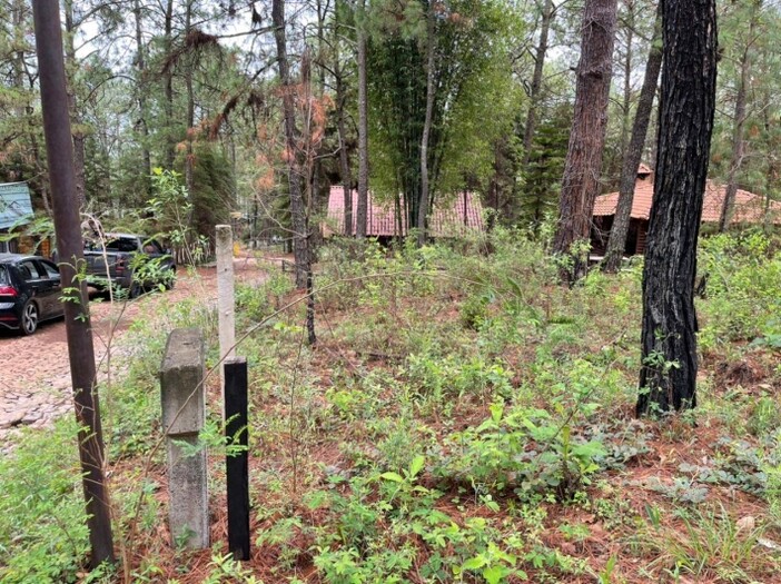 Terreno en Venta en Camino Real Mazamitla