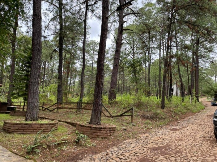 Terreno en Venta en Camino Real Mazamitla