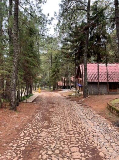 Terreno en Venta en Camino Real Mazamitla