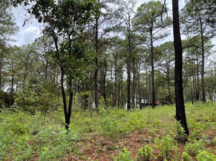 Terreno en Venta en Camino Real Mazamitla