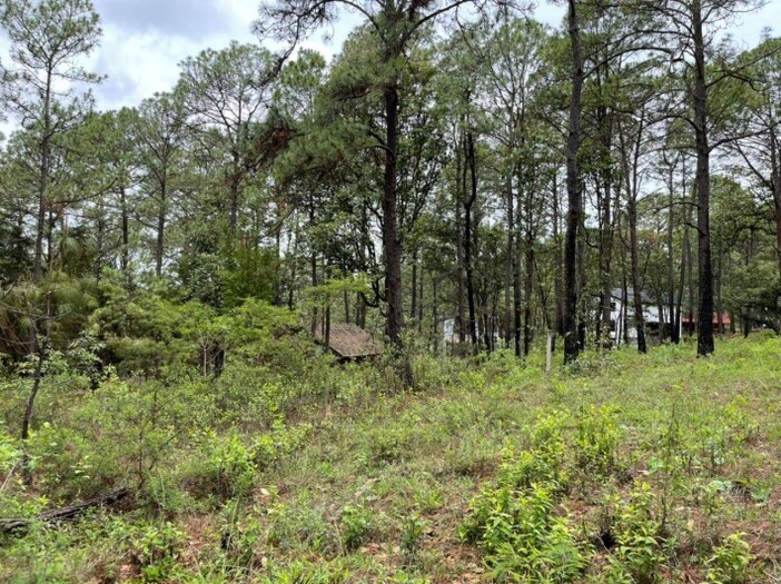 Terreno en Venta en Camino Real Mazamitla