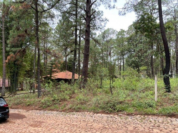 Terreno en Venta en Camino Real Mazamitla