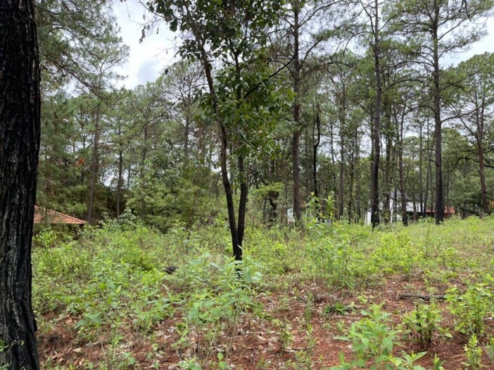 Terreno en Venta en Camino Real Mazamitla