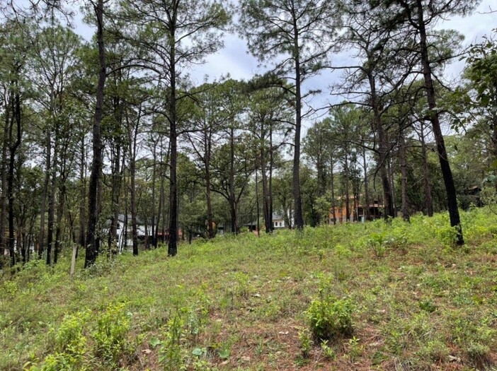 Terreno en Venta en Camino Real Mazamitla