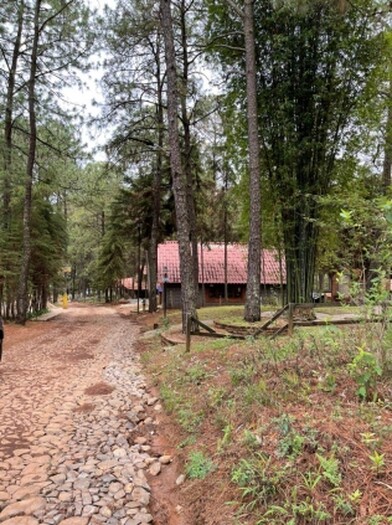 Terreno en Venta en Camino Real Mazamitla