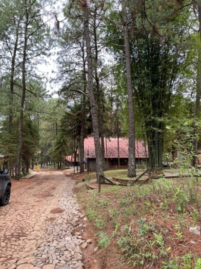Terreno en Venta en Camino Real Mazamitla