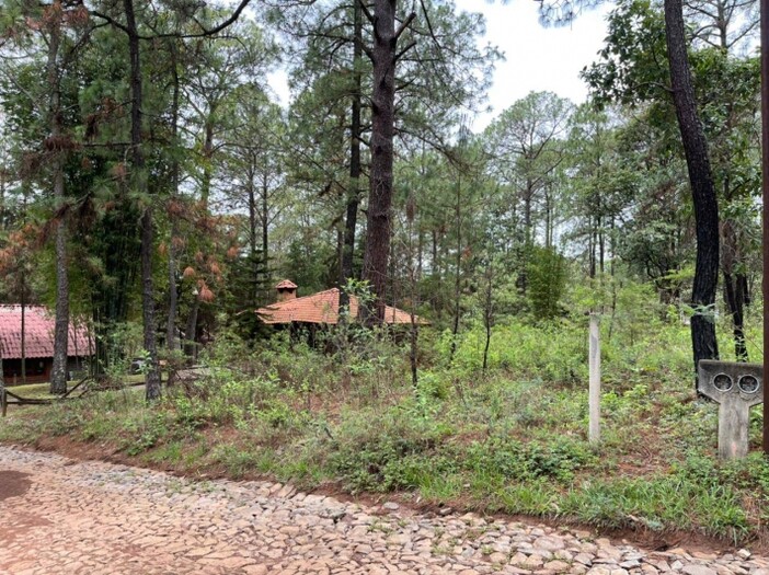 Terreno en Venta en Camino Real Mazamitla