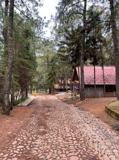 Terreno en Venta en Camino Real Mazamitla