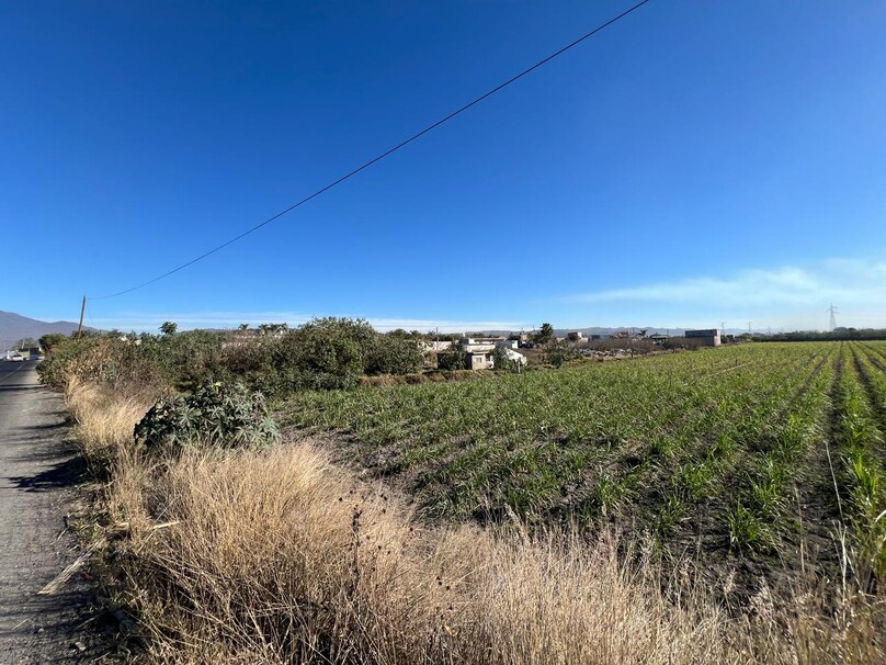 Se Vende Increible Terreno En Tala Con Acceso Por Carretera Perfecto Para Proyecto Industrial