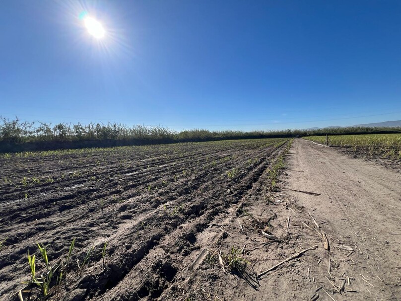 Se Vende Increible Terreno En Tala Con Acceso Por Carretera Perfecto Para Proyecto Industrial