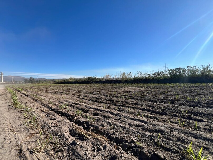 Se Vende Increible Terreno En Tala Con Acceso Por Carretera Perfecto Para Proyecto Industrial