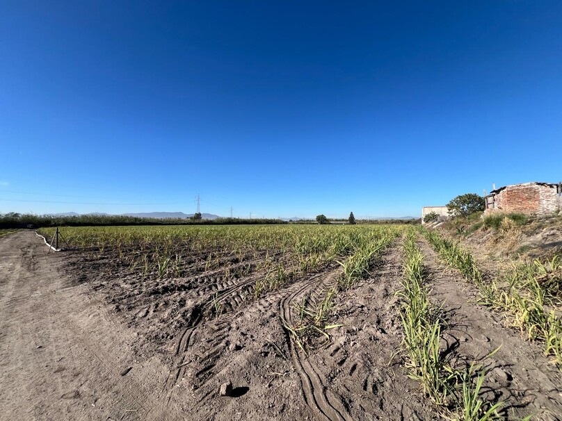 Se Vende Increible Terreno En Tala Con Acceso Por Carretera Perfecto Para Proyecto Industrial