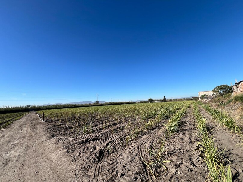 Se Vende Increible Terreno En Tala Con Acceso Por Carretera Perfecto Para Proyecto Industrial