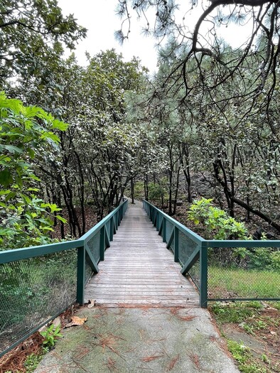 SE VENDEN INCREIBLES DEPARTAMENTOS EN AVATERRA NATURAL LIVING