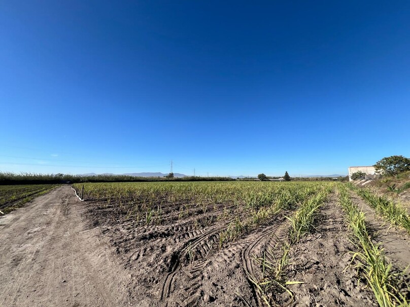 Se Vende Increible Terreno En Tala Con Acceso Por Carretera Perfecto Para Proyecto Industrial