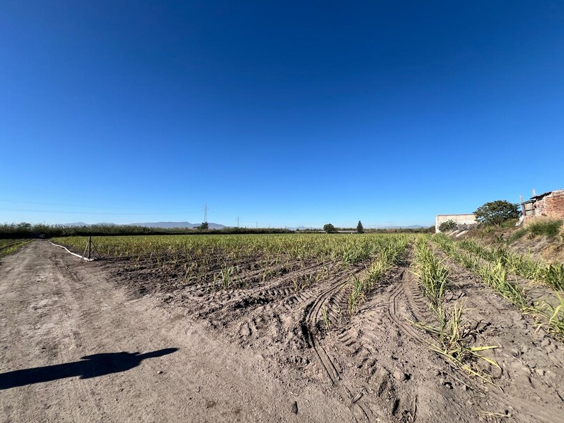 Se Vende Increible Terreno En Tala Con Acceso Por Carretera Perfecto Para Proyecto Industrial