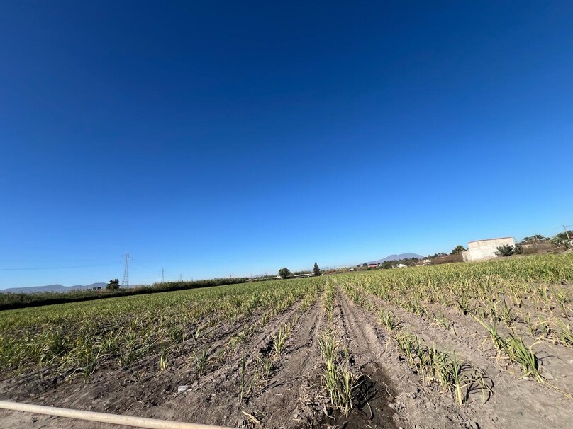 Se Vende Increible Terreno En Tala Con Acceso Por Carretera Perfecto Para Proyecto Industrial