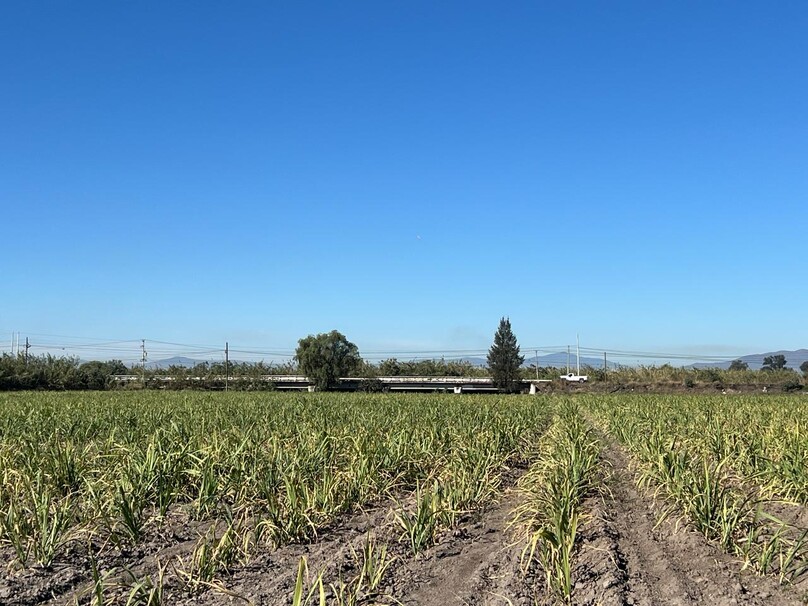Se Vende Increible Terreno En Tala Con Acceso Por Carretera Perfecto Para Proyecto Industrial