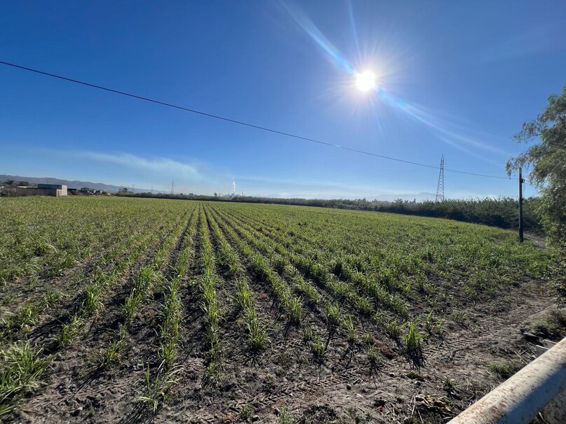 Se Vende Increible Terreno En Tala Con Acceso Por Carretera Perfecto Para Proyecto Industrial