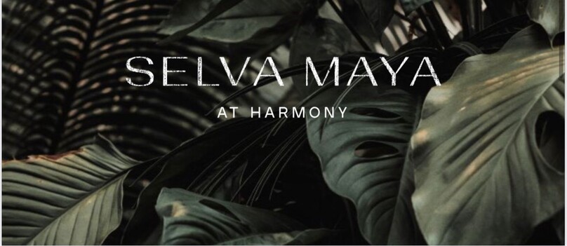Hermosas casas Selva Maya at Harmony en preventa en Tulum