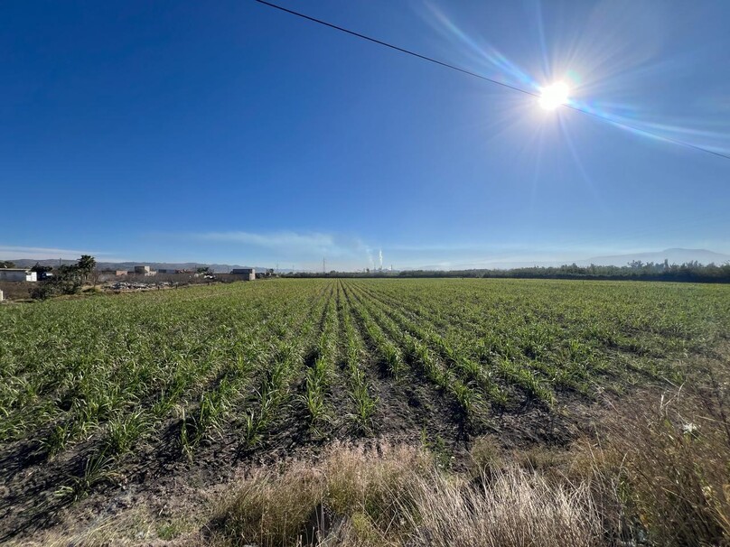 Se Vende Increible Terreno En Tala Con Acceso Por Carretera Perfecto Para Proyecto Industrial