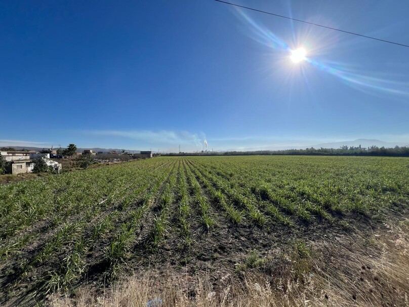 Se Vende Increible Terreno En Tala Con Acceso Por Carretera Perfecto Para Proyecto Industrial