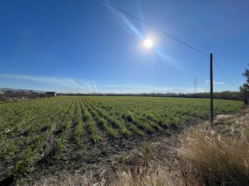 Se Vende Increible Terreno En Tala Con Acceso Por Carretera Perfecto Para Proyecto Industrial
