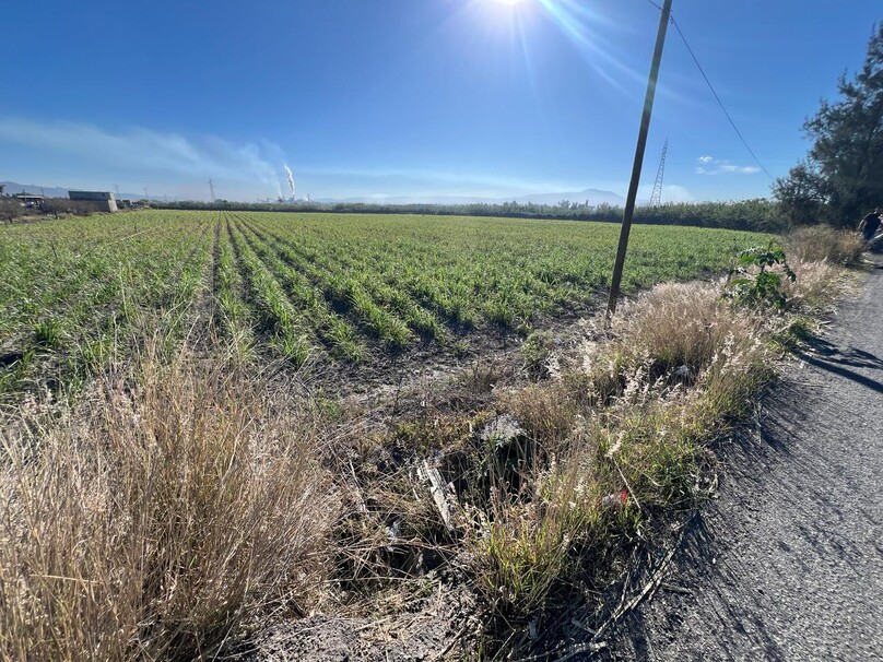 Se Vende Increible Terreno En Tala Con Acceso Por Carretera Perfecto Para Proyecto Industrial