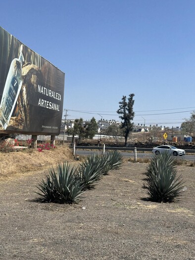 Se vende terreno en Tonalá sobre autopista