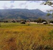 Ixtlahuacan de los Membrillos