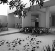 casa en preventa en Royal Country
